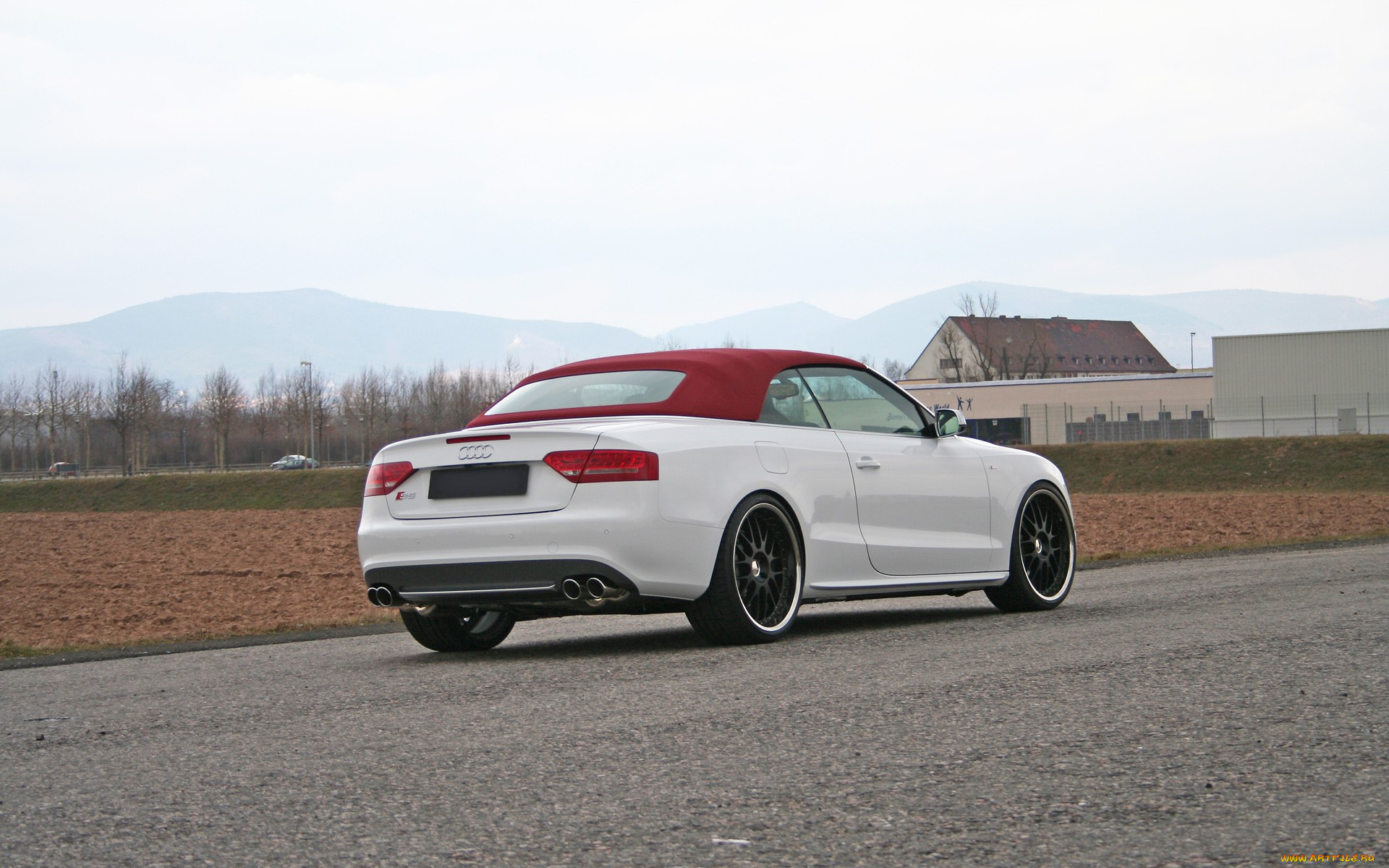audi, 